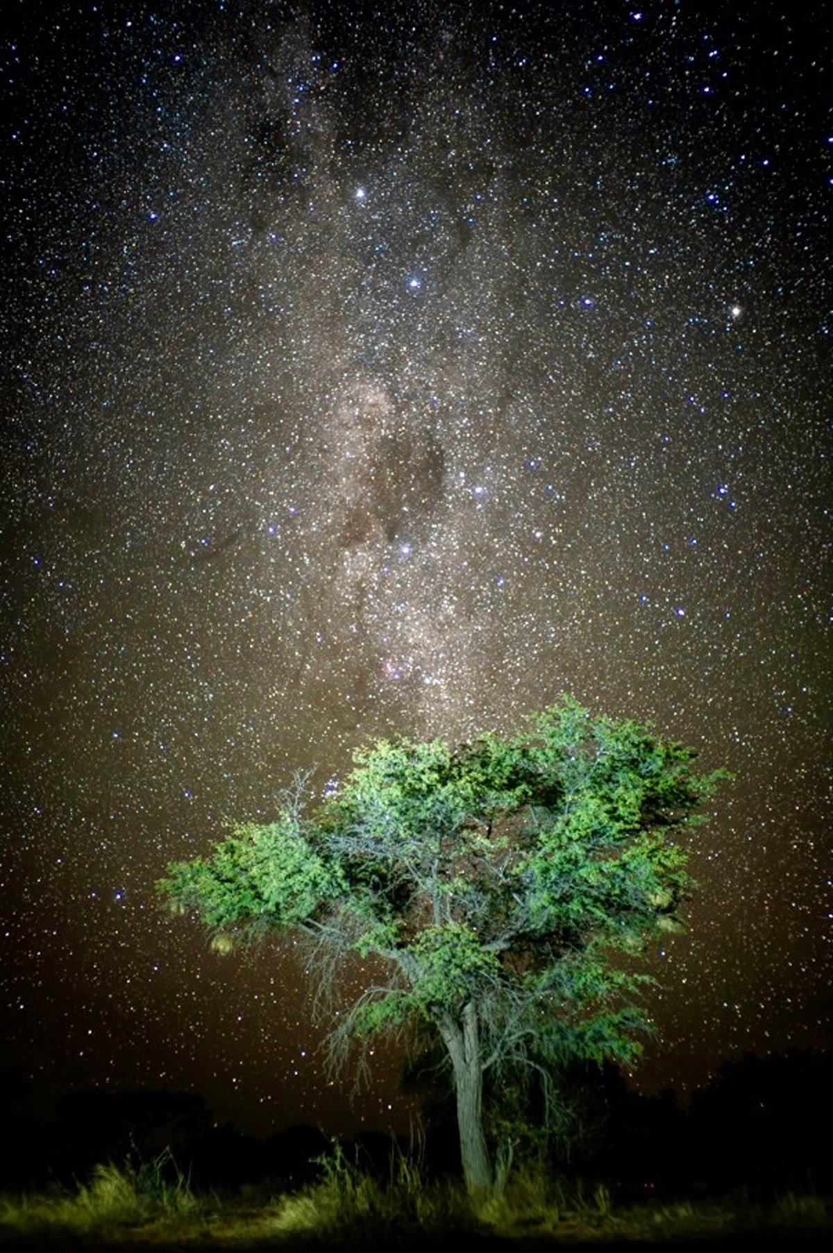 dunkler Himmel Astrofotographie Kalhari Namibia G&auml;stefarm